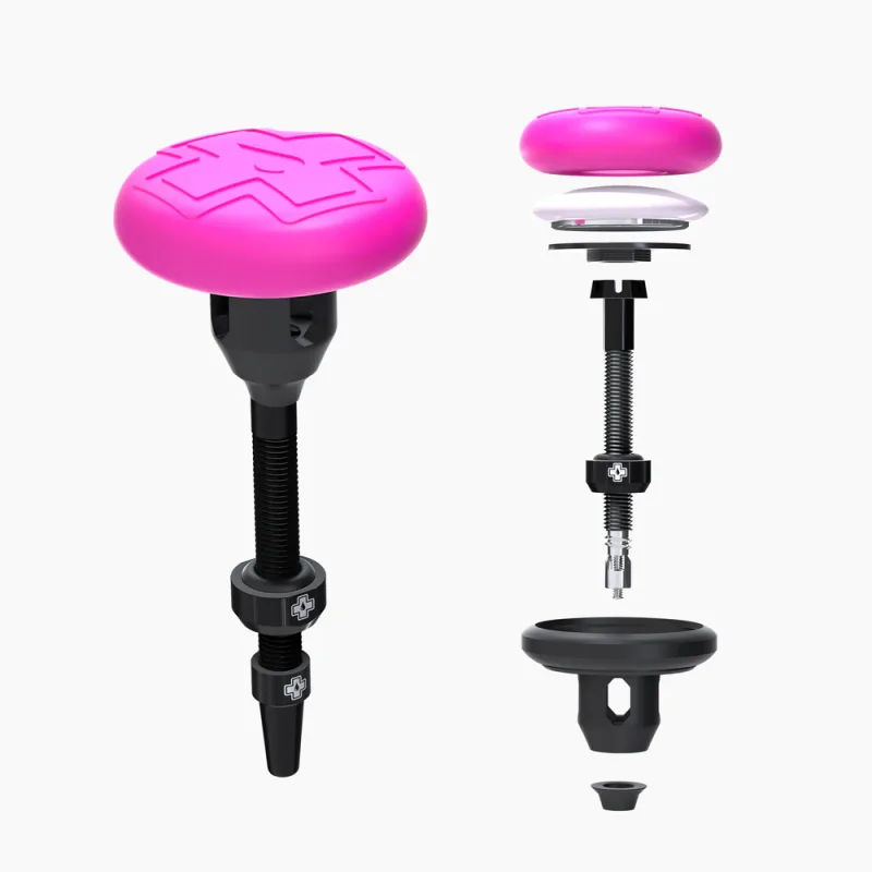 Web 01 tealth Tubeless Tag Holder with 44mm Valve kit 2022 2 1000x1000